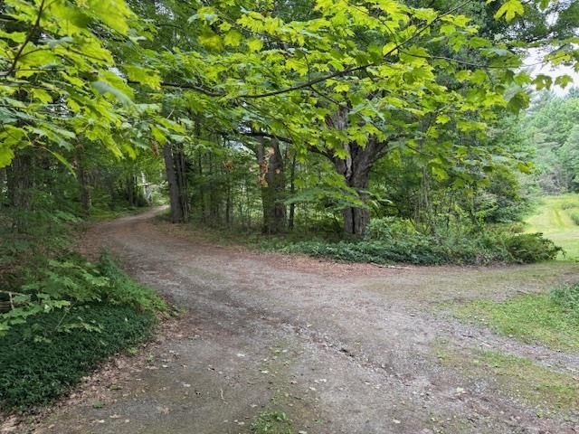 190 Upper Edsall Road Greensboro, VT 05841 - Photo 49 of 54