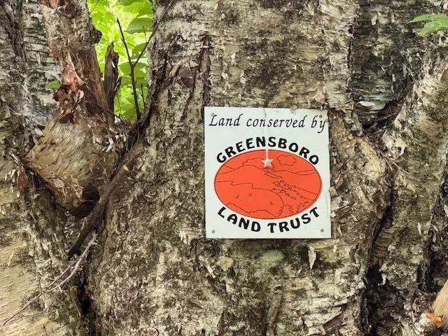 $795,000 | 190 Upper Edsall Road, Greensboro, VT 05841