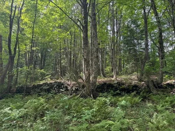 $795,000 | 190 Upper Edsall Road, Greensboro, VT 05841