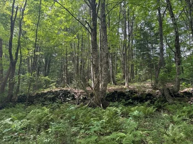 $795,000 | 190 Upper Edsall Road, Greensboro, VT 05841