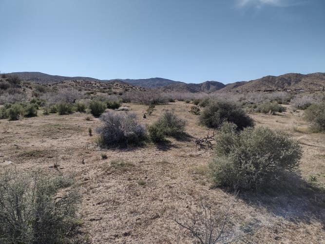 0 Apache Pass Pioneertown, CA 92268 - Photo 11 of 15