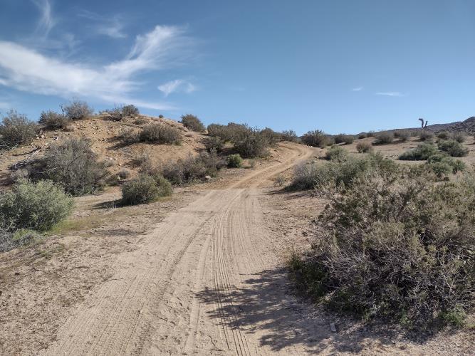 0 Apache Pass Pioneertown, CA 92268 - Photo 3 of 15
