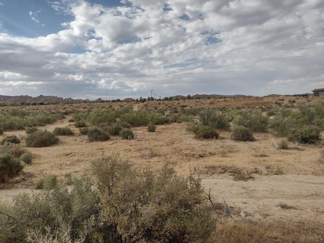 0 Apache Pass Pioneertown, CA 92268 - Photo 6 of 15