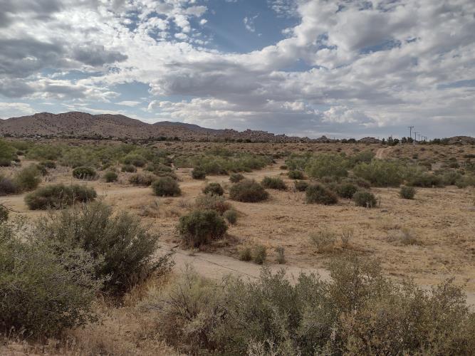 0 Apache Pass Pioneertown, CA 92268 - Photo 8 of 15