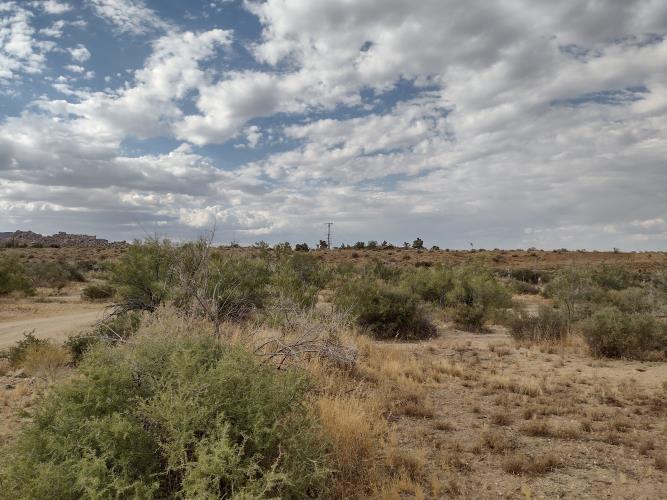 0 Apache Pass Pioneertown, CA 92268 - Photo 9 of 15