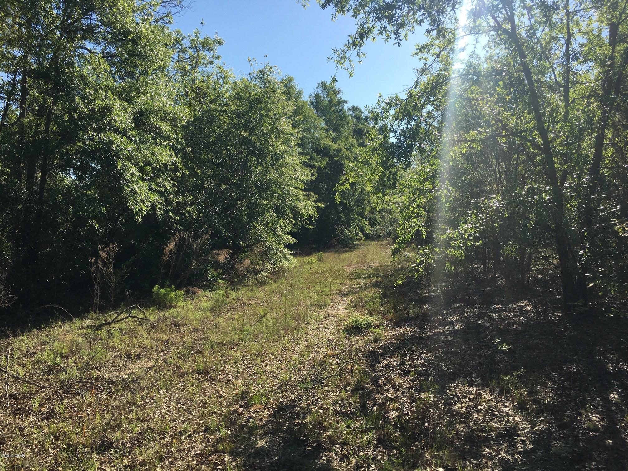 0 Nichols Road Bascom, FL 32423 - Photo 2 of 7