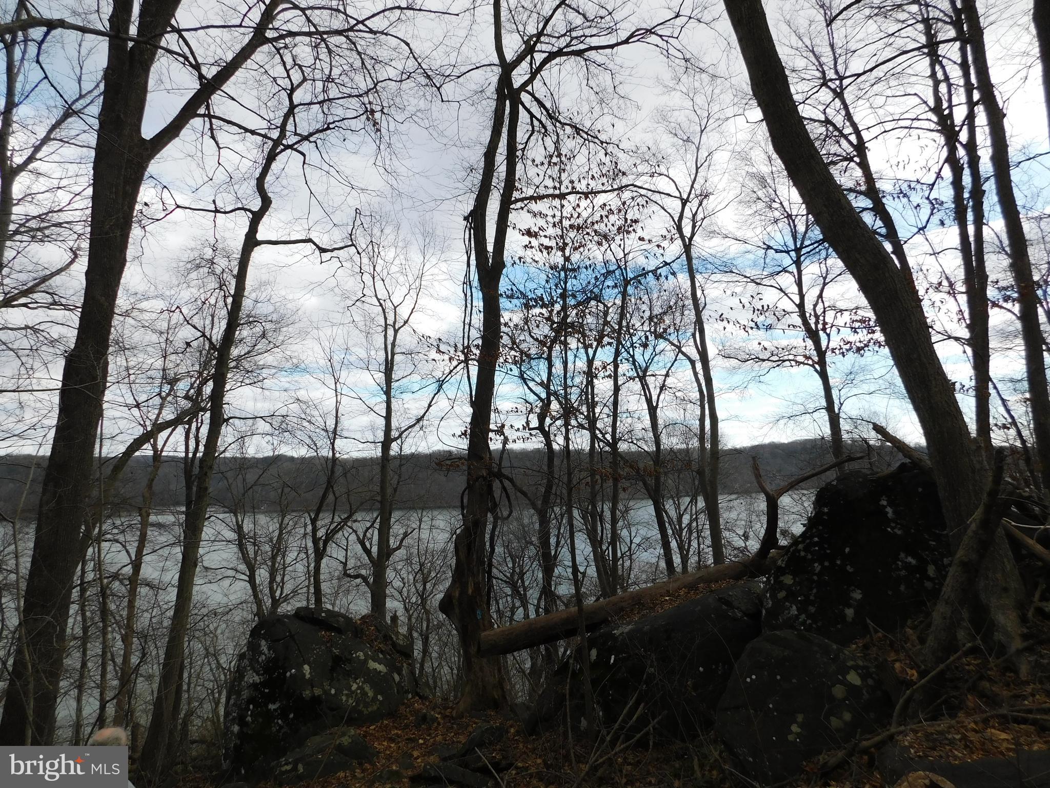 3909 River Road Darlington, MD 21034 - Photo 1 of 9 a view of trees and covered with snow