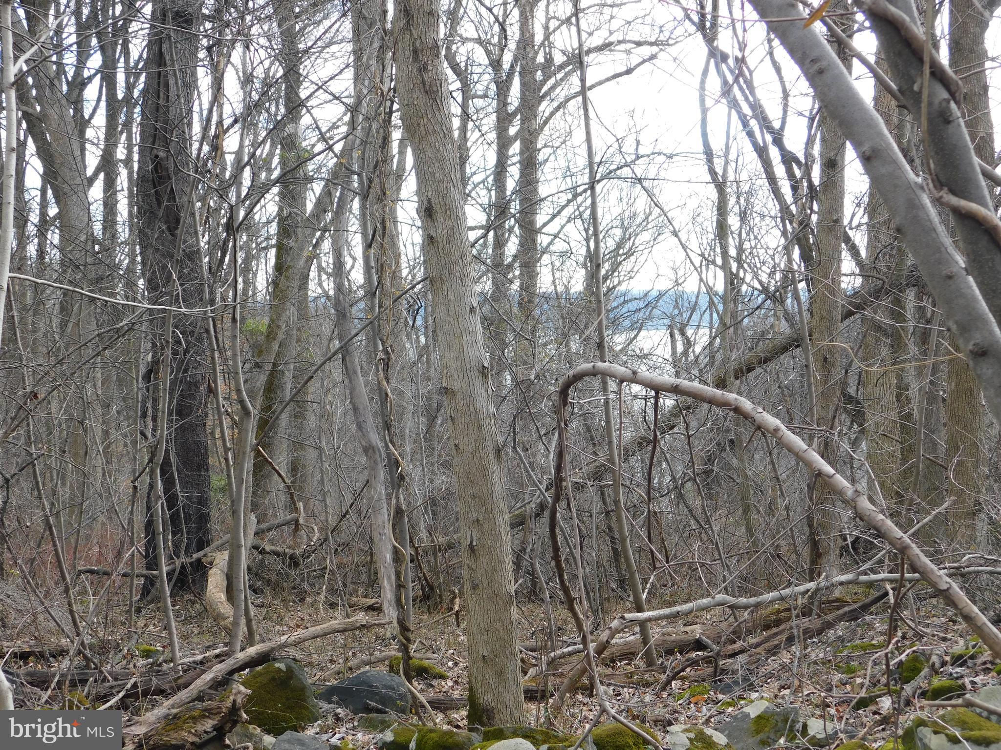 3909 River Road Darlington, MD 21034 - Photo 4 of 9 a view of a backyard