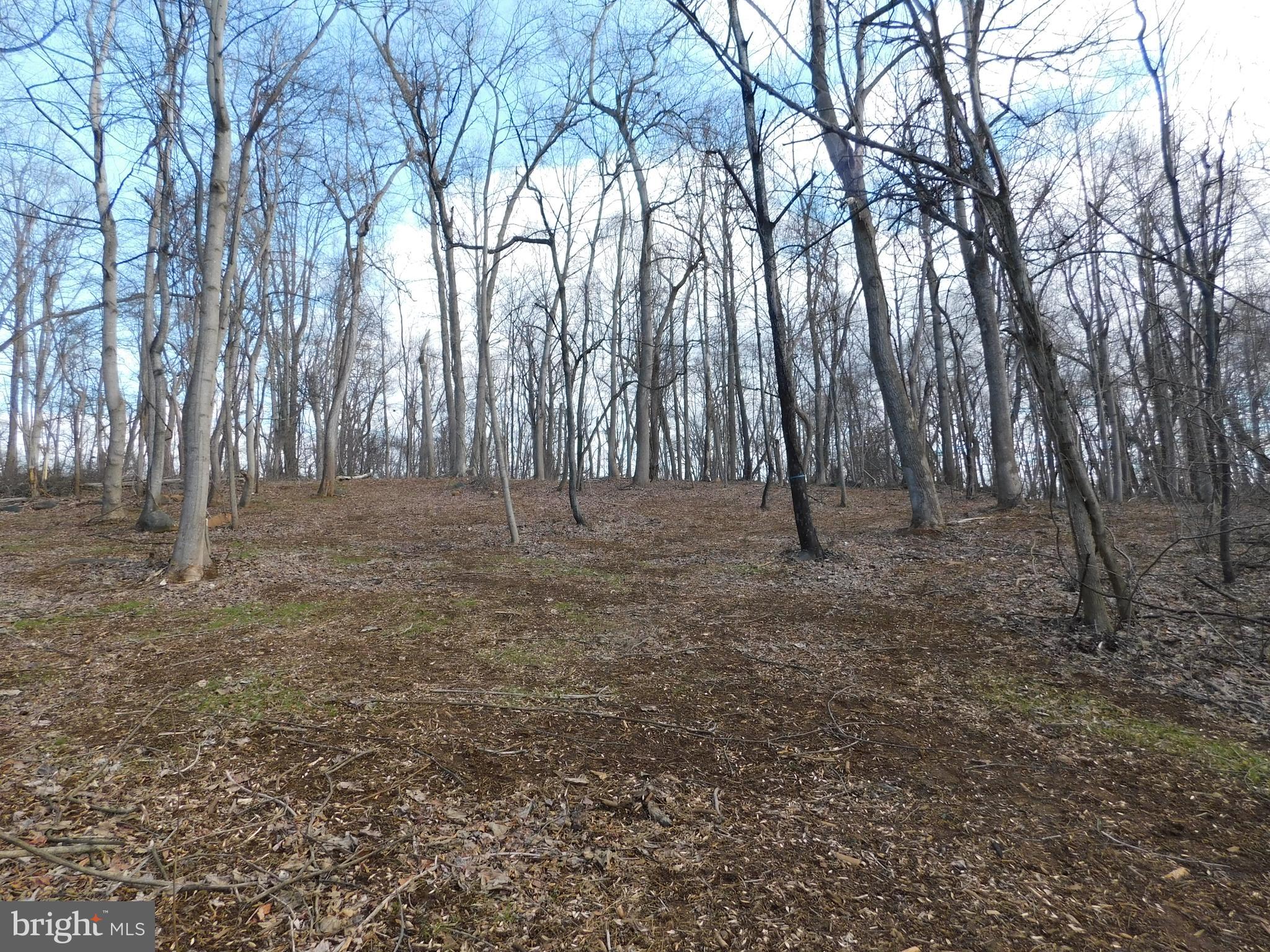 3909 River Road Darlington, MD 21034 - Photo 5 of 9 a view of outdoor space with trees