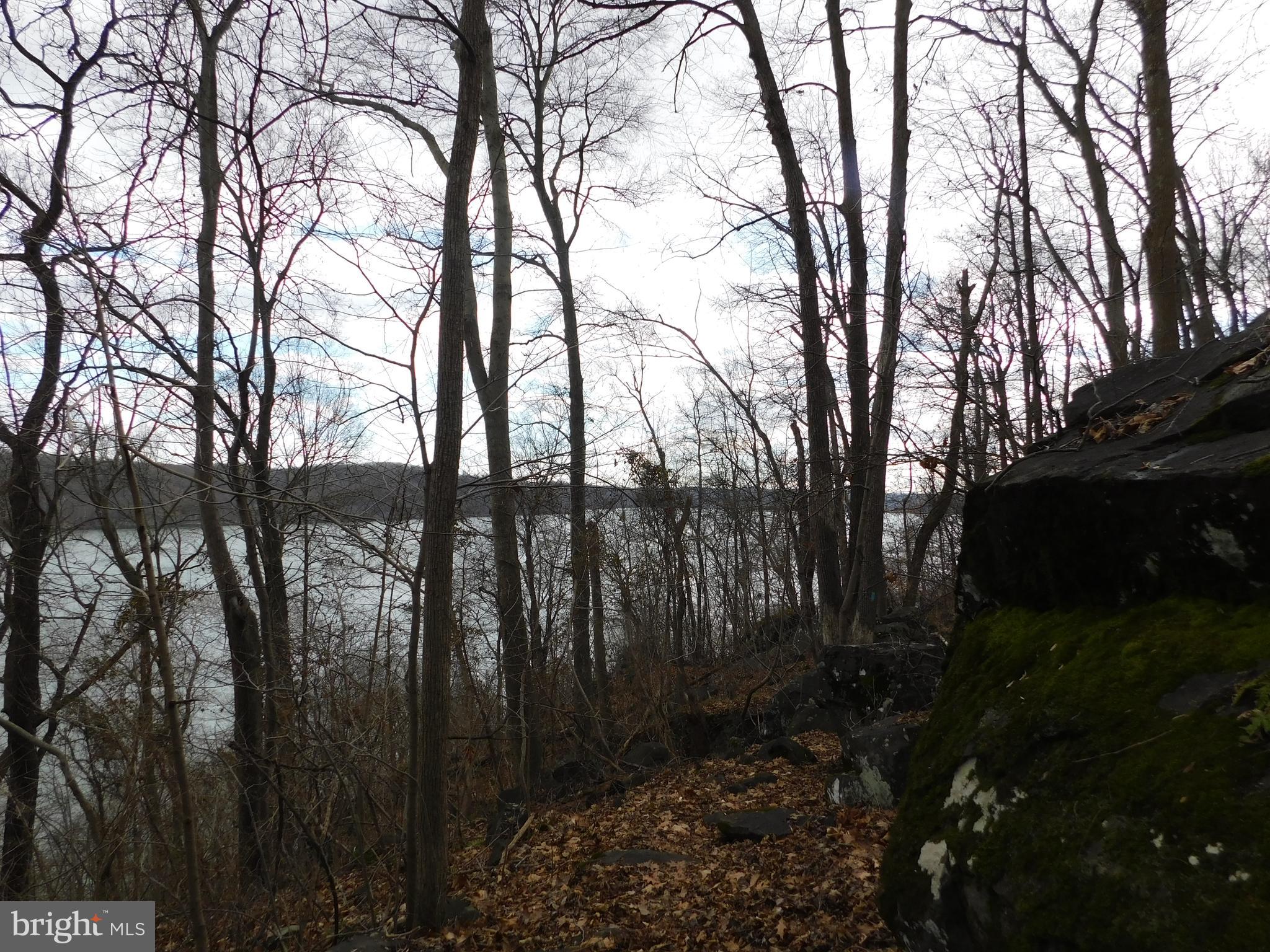3909 River Road Darlington, MD 21034 - Photo 7 of 9 a view of outdoor space and yard