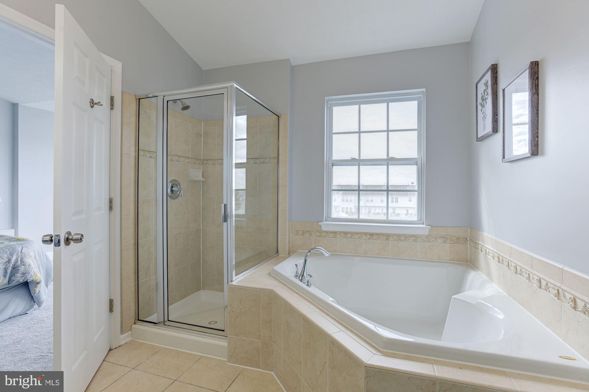 9804 Biggs Road Baltimore, MD 21220 - Photo 24 of 37 Primary Bath