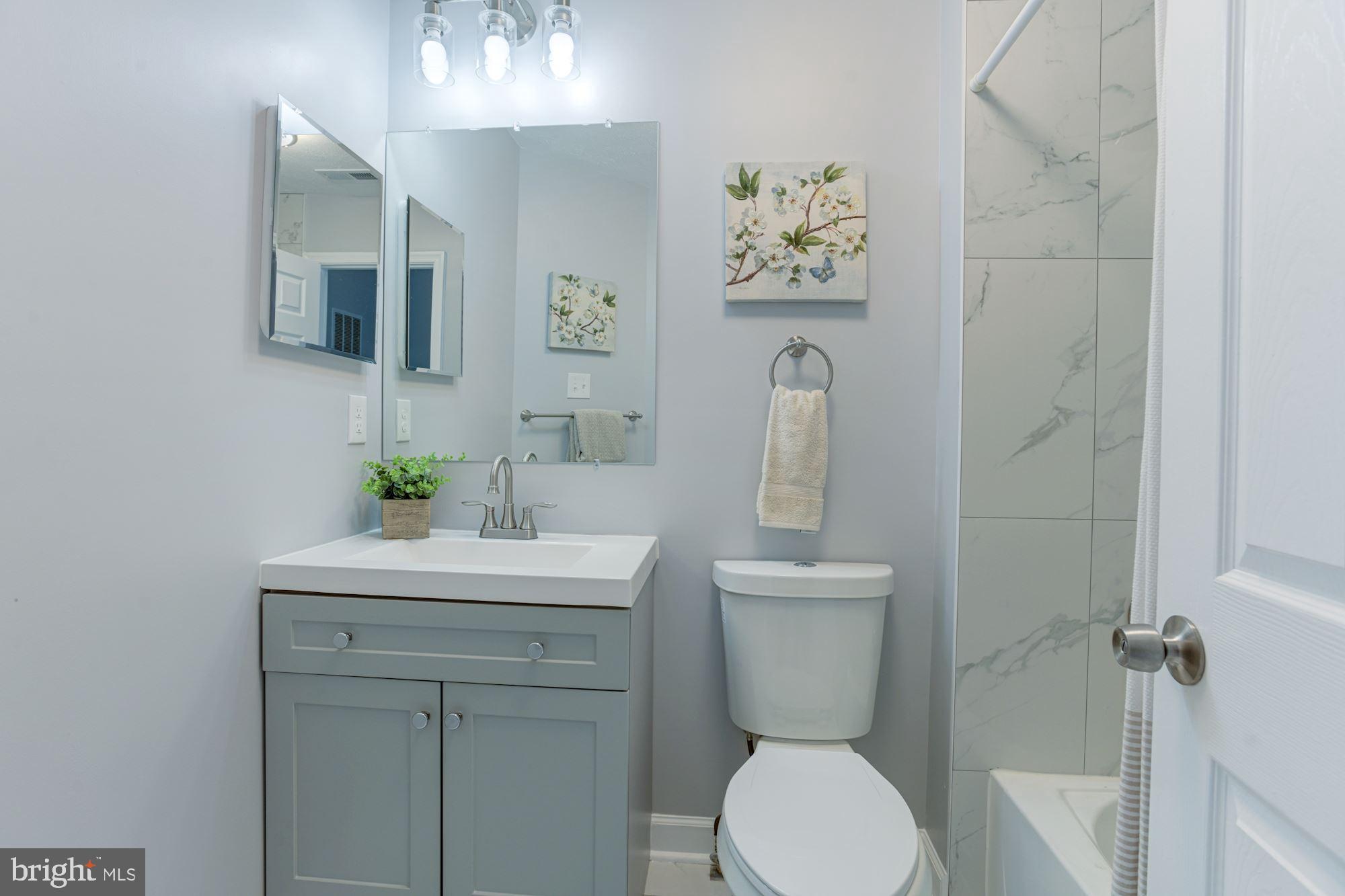 9804 Biggs Road Baltimore, MD 21220 - Photo 27 of 37 Full Bath