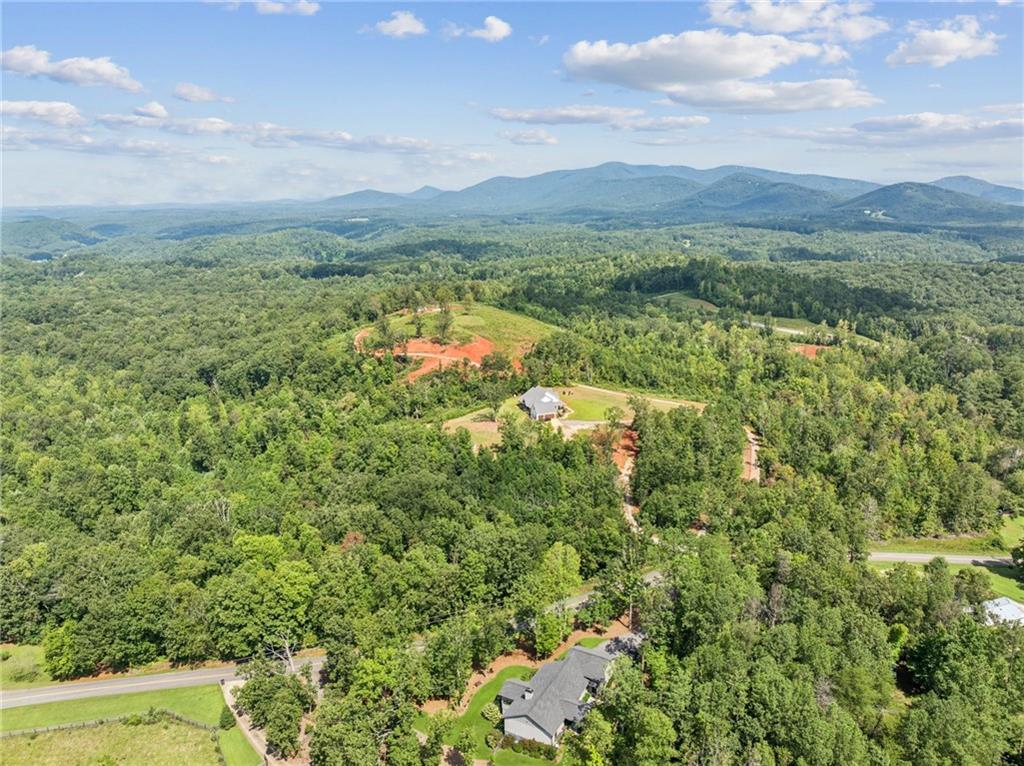 305 Wilkie Road Ball Ground, GA 30107 - Photo 37 of 37 a view of a city with lush green forest