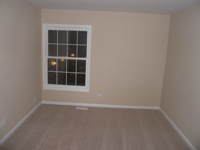 1173 Azalea Lane Palatine, IL 60074 - Photo 12 of 12