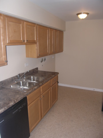 1173 Azalea Lane Palatine, IL 60074 - Photo 6 of 12