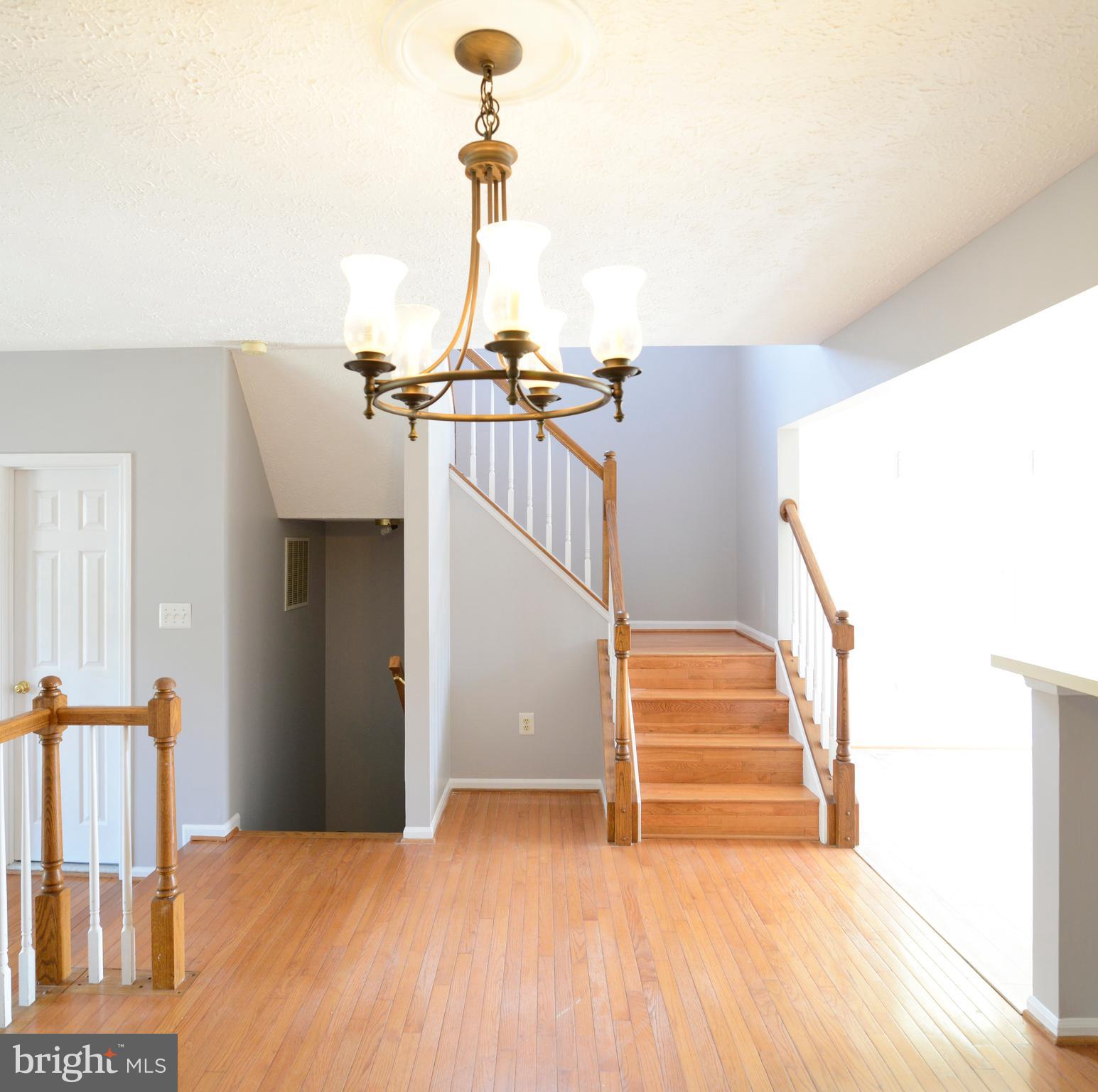 14001 Winding Ridge Lane Centreville, VA 20121 - Photo 25 of 58 Gallery Image 25