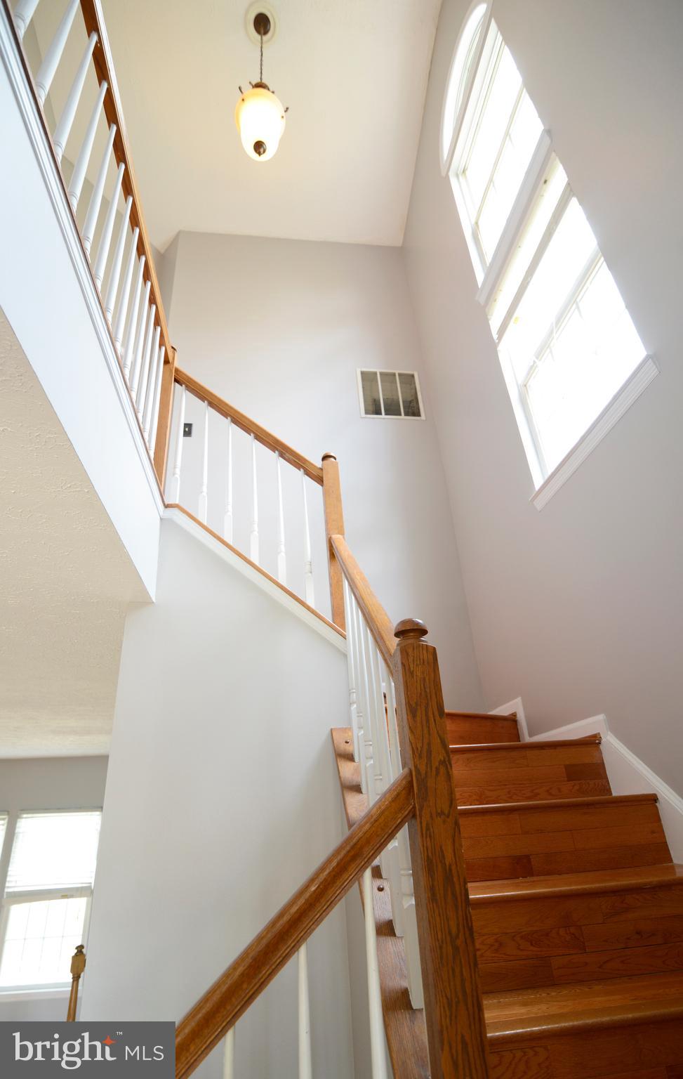 14001 Winding Ridge Lane Centreville, VA 20121 - Photo 28 of 58 Gallery Image 28