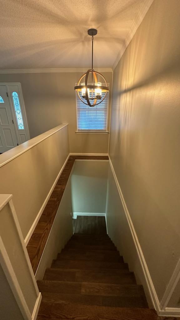 696 Smitherman Road Ringgold, GA 30736 - Photo 26 of 53 IMG_5068