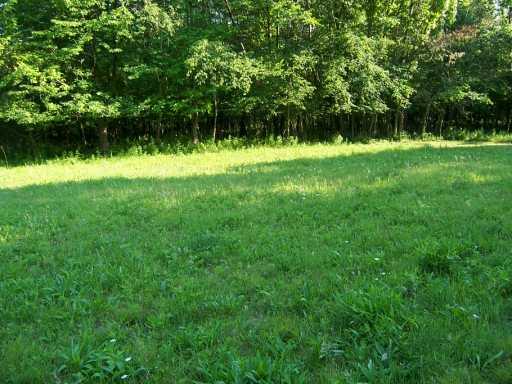 Lot #2 Valley Road Eighty Four, PA 15330 - Photo 2 of 2 View.