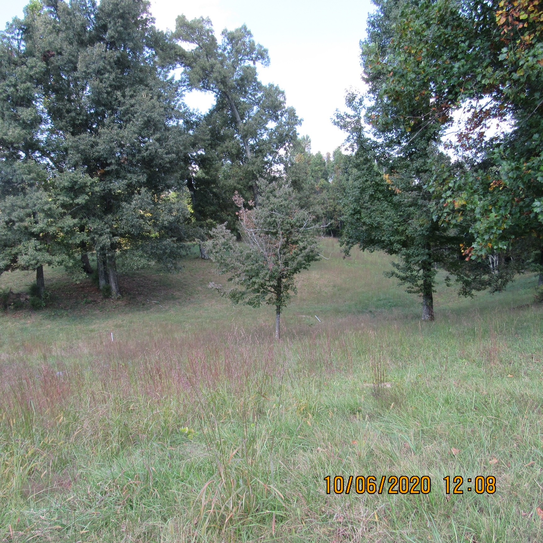 57 Ballard Hollow Road Taft, TN 38488 - Photo 4 of 6 Gallery Image 4