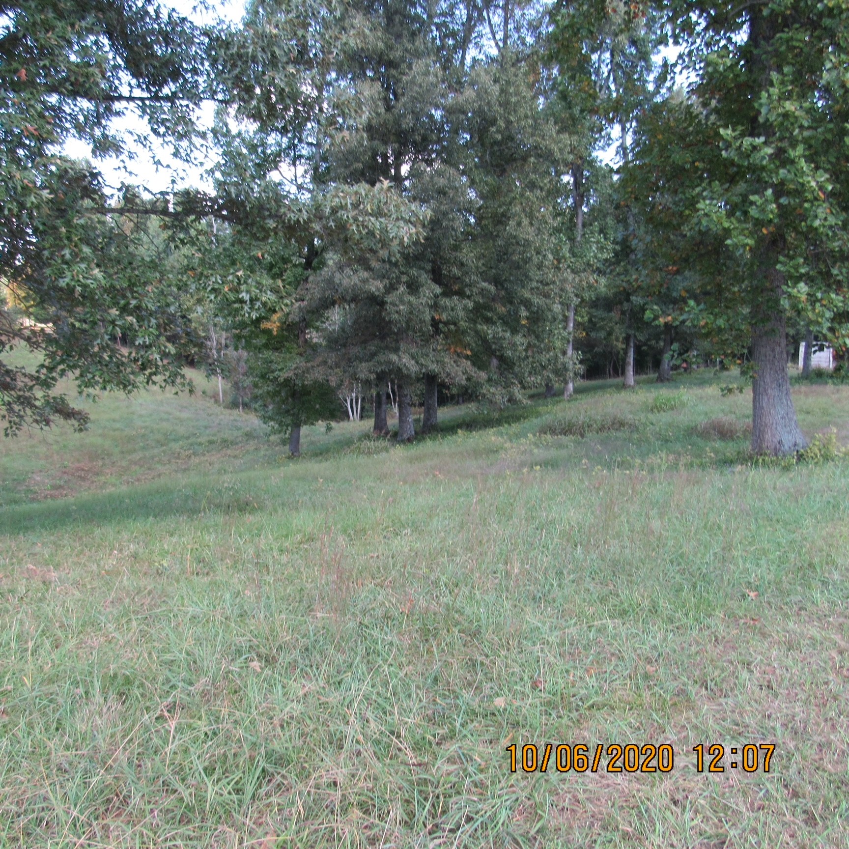 57 Ballard Hollow Road Taft, TN 38488 - Photo 6 of 6 Gallery Image 6