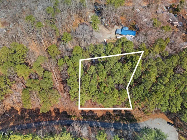 a view of a yard with plants