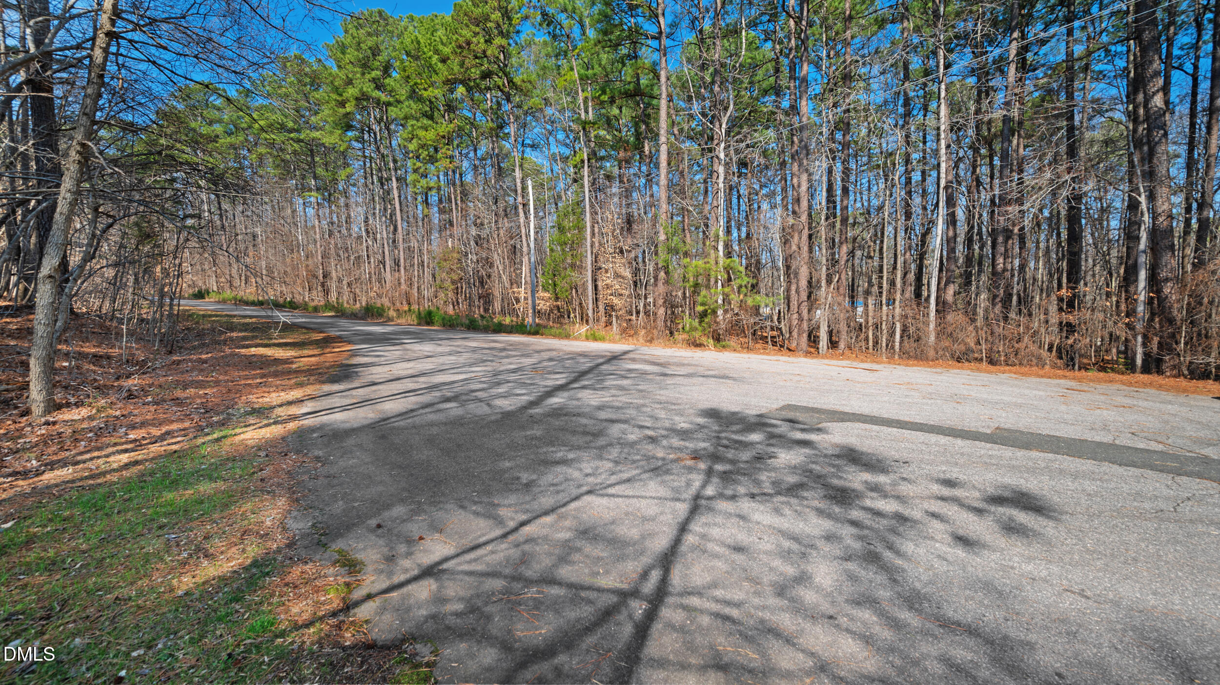 127 Misty Ridge Road Durham, NC 27712 - Photo 11 of 12 a street view with large trees