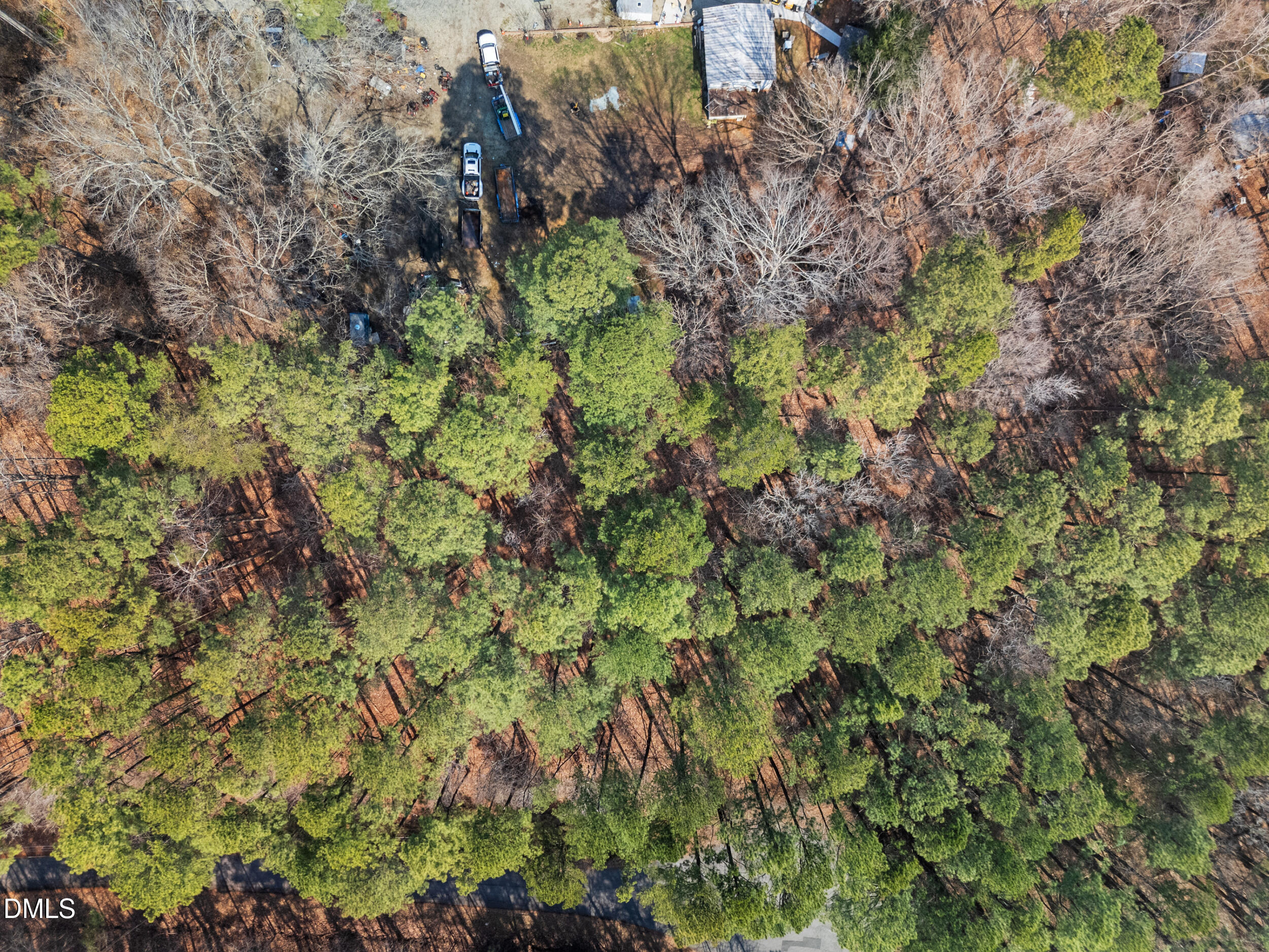 127 Misty Ridge Road Durham, NC 27712 - Photo 2 of 12 a backyard of a house with lots of plants and trees