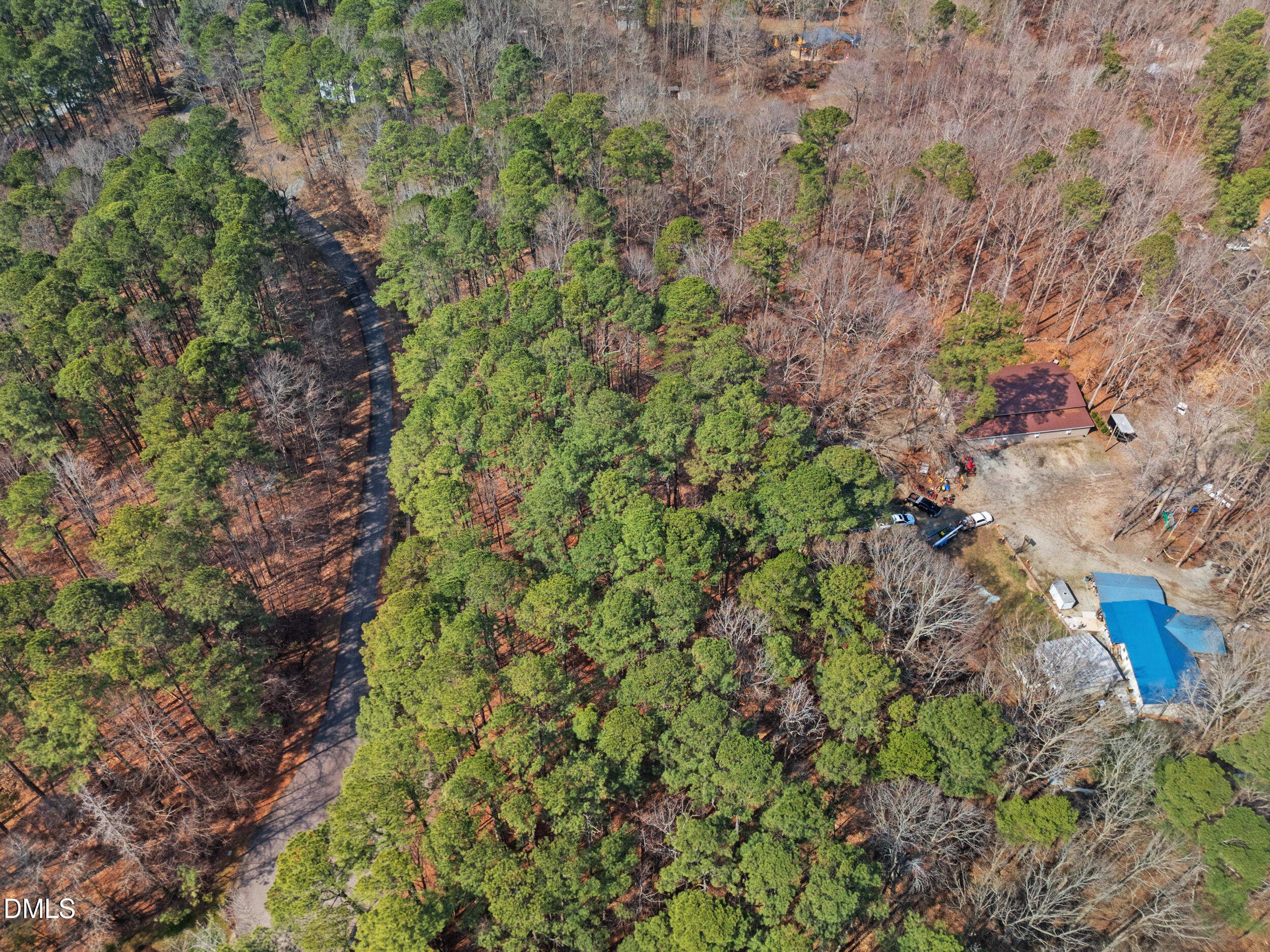 127 Misty Ridge Road Durham, NC 27712 - Photo 4 of 12 a view of a plants in a garden