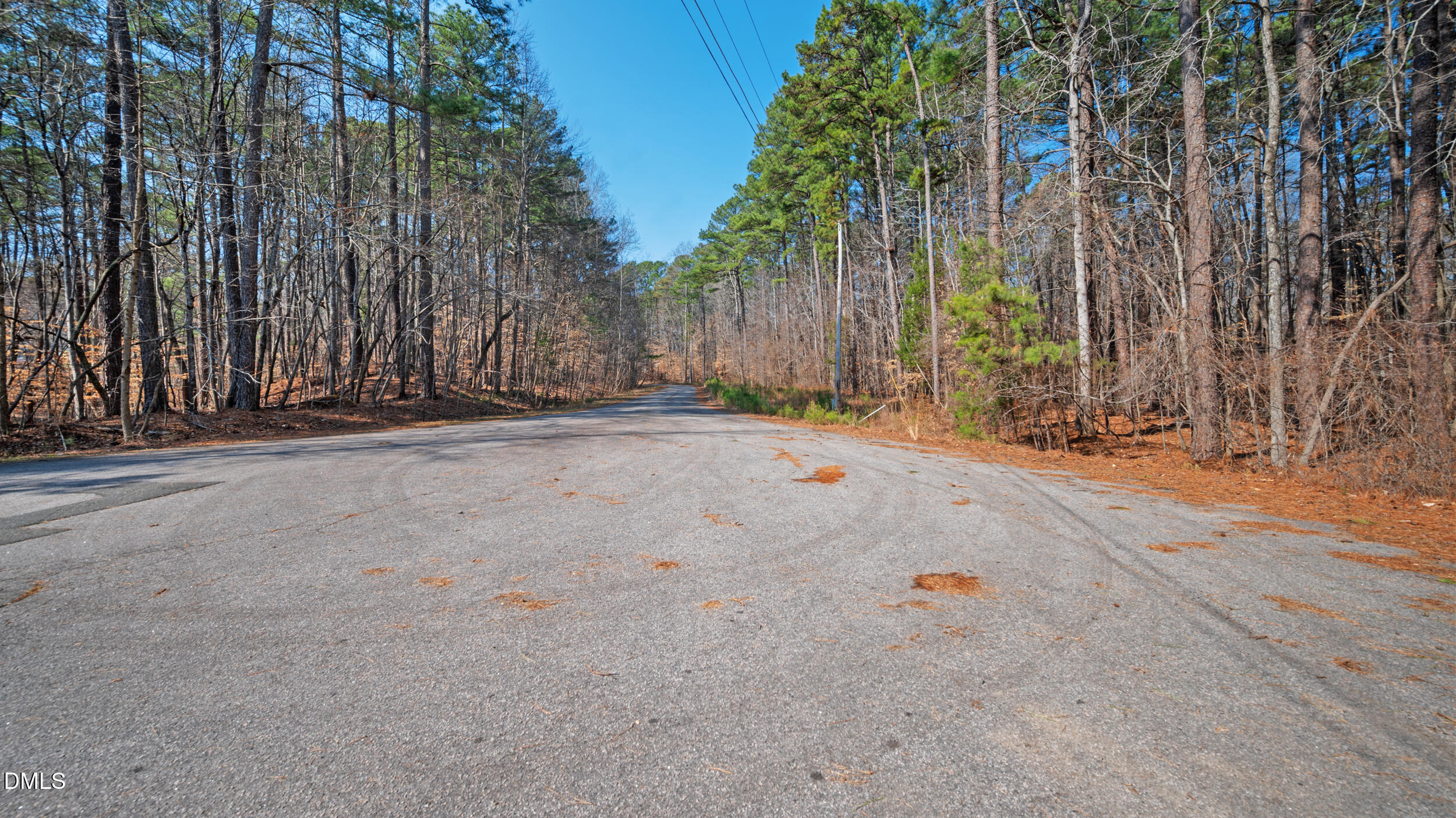 127 Misty Ridge Road Durham, NC 27712 - Photo 10 of 12 a backyard of a house with trees and outdoor space