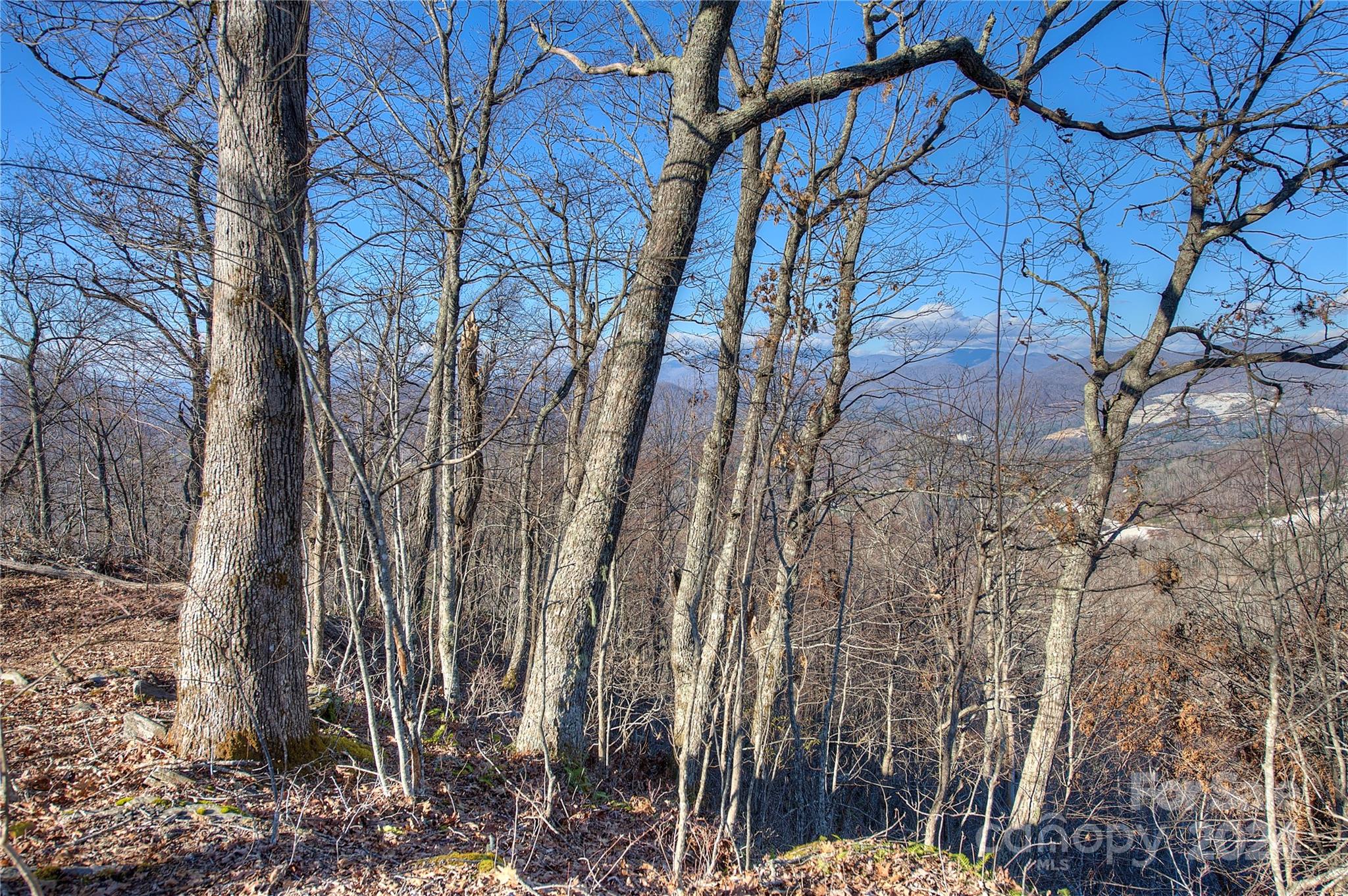 0 Arrowhead Ridge Road Spruce Pine, NC 28777 - Photo 13 of 14 a backyard of a house with lots of green space