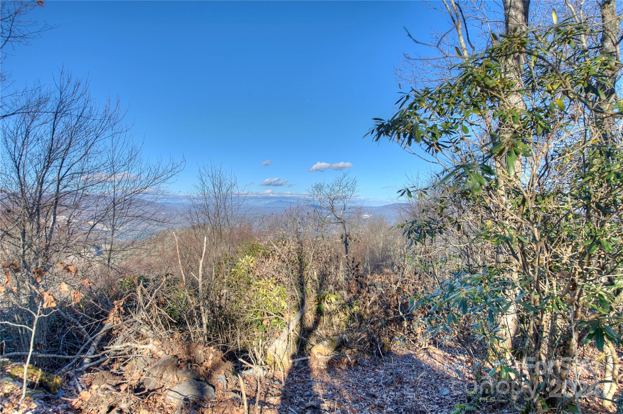 0 Arrowhead Ridge Road Spruce Pine, NC 28777 - Photo 14 of 14 a view of a yard