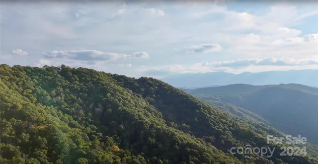 a view of a lush green hillside and a mountain