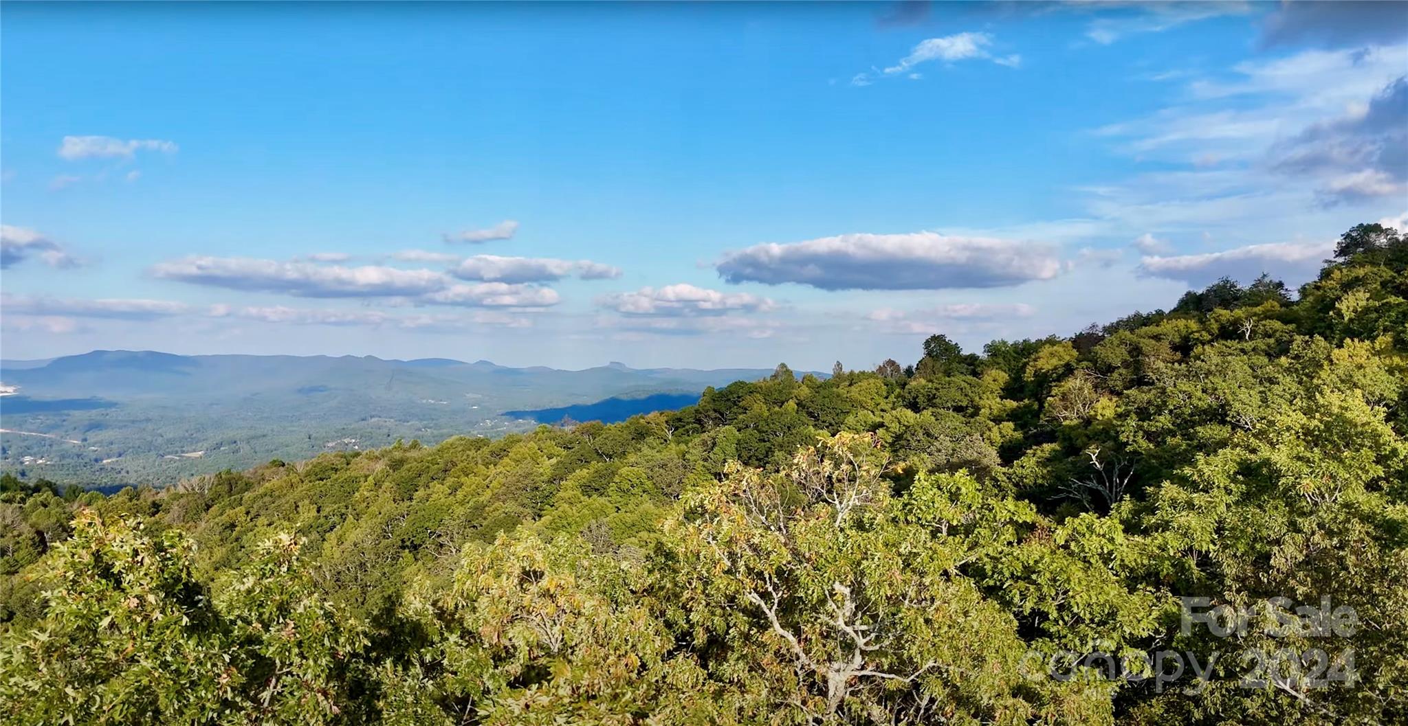 0 Arrowhead Ridge Road Spruce Pine, NC 28777 - Photo 5 of 14
