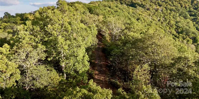 a view of a house with a mountain and yard