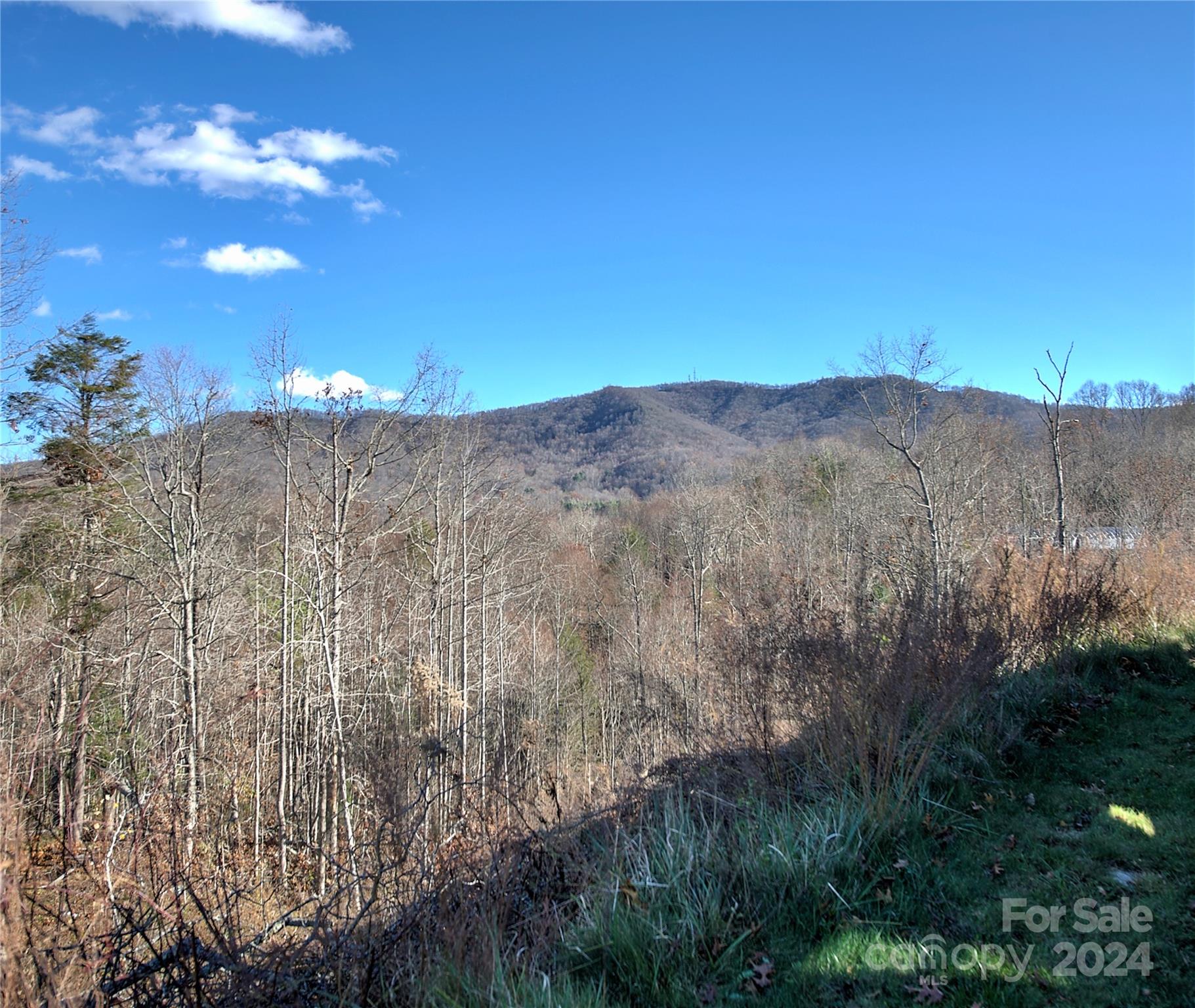 0 Arrowhead Ridge Road Spruce Pine, NC 28777 - Photo 10 of 14 a view of a house with a mountain and yard
