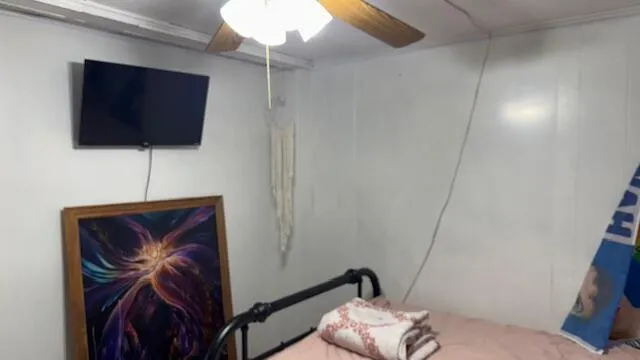 a view of an outdoor space