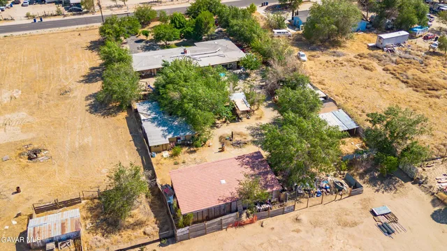 a view of a yard with plants and large trees