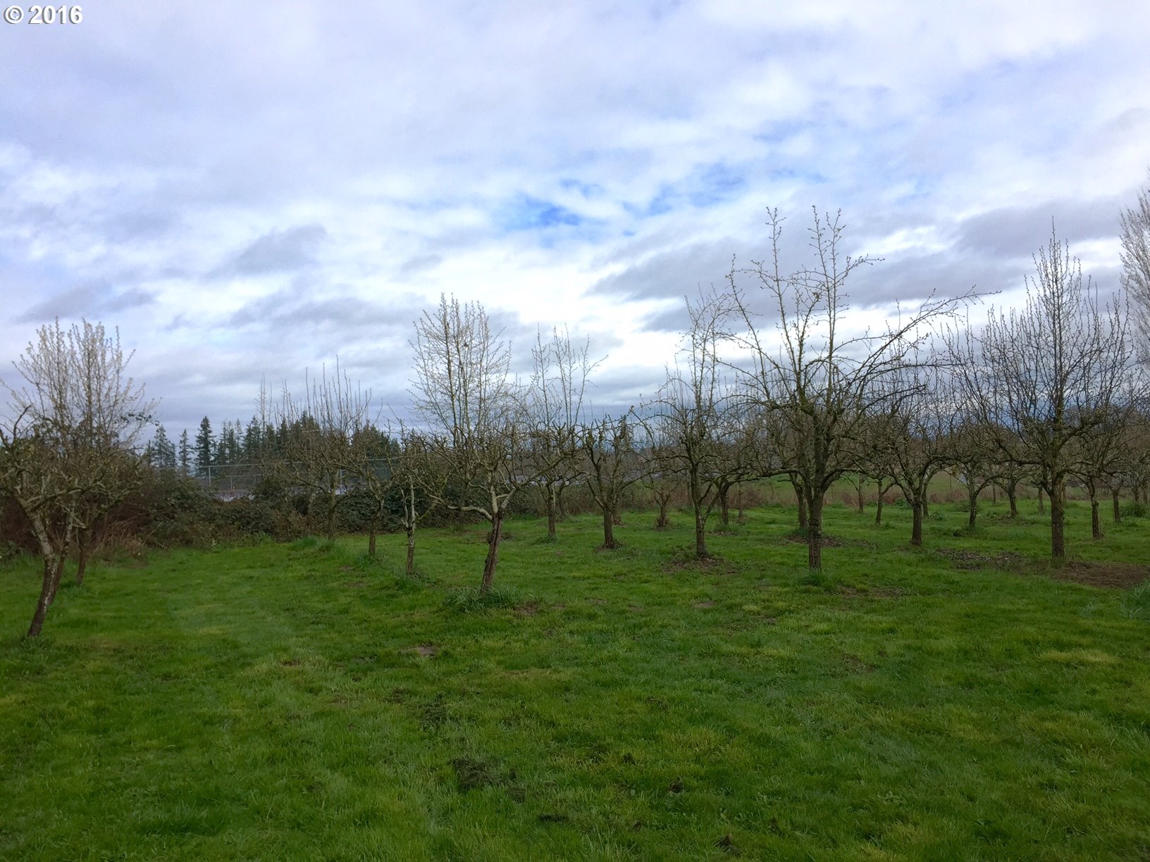 5773 South Schneider Road Woodburn, OR 97071 - Photo 7 of 15 Gallery Image 7