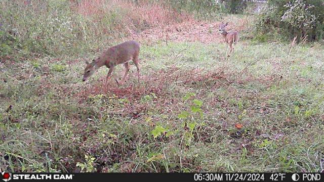 34 Aycock Road Deville, LA 71328 - Photo 1 of 13