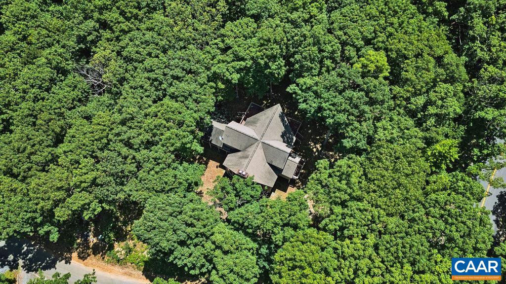24 Pedlars Point Wintergreen, VA 22967 - Photo 49 of 51