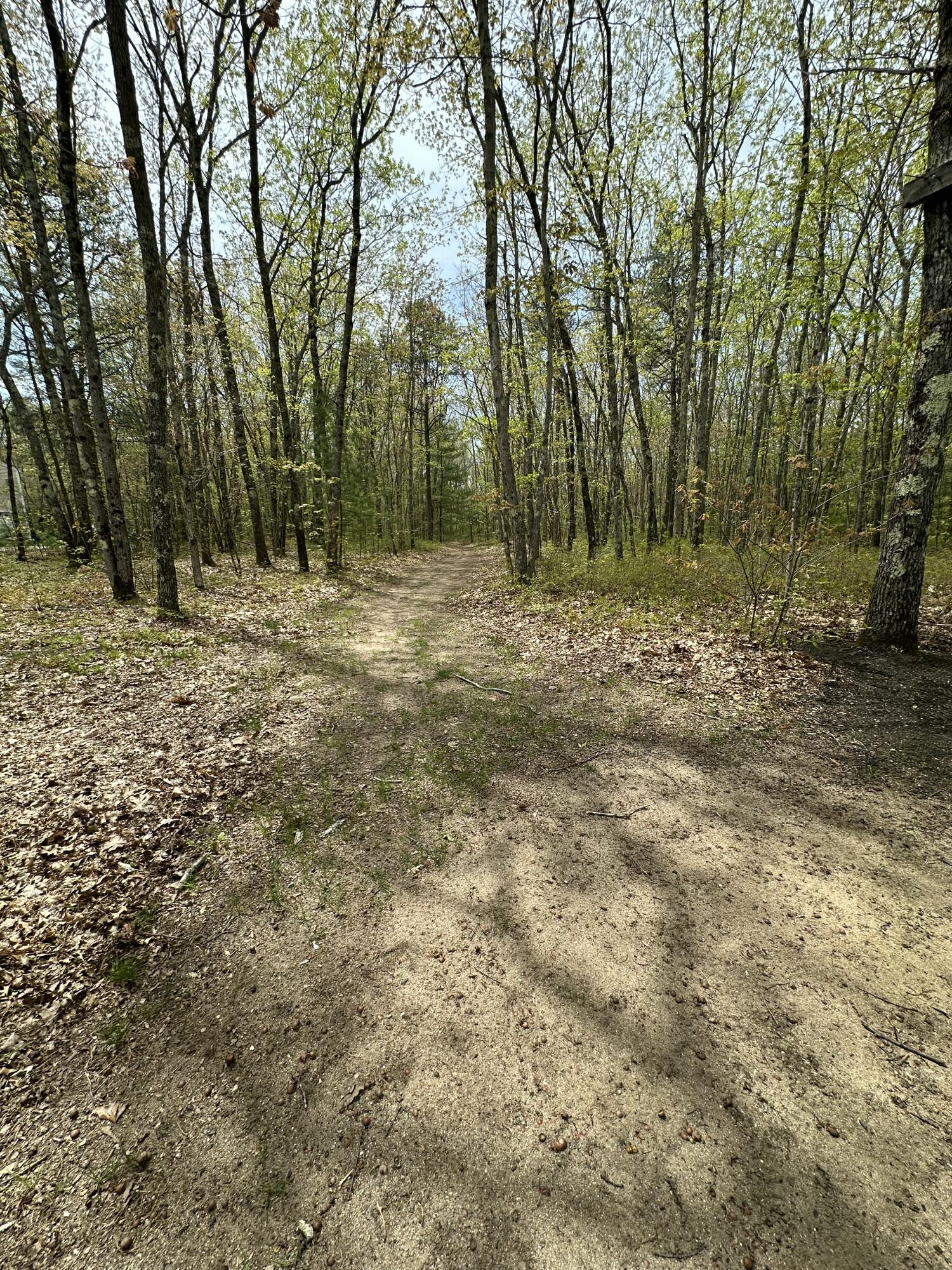 346 Maguire Road Kennebunk, ME 04043 - Photo 106 of 123 IMG_6915