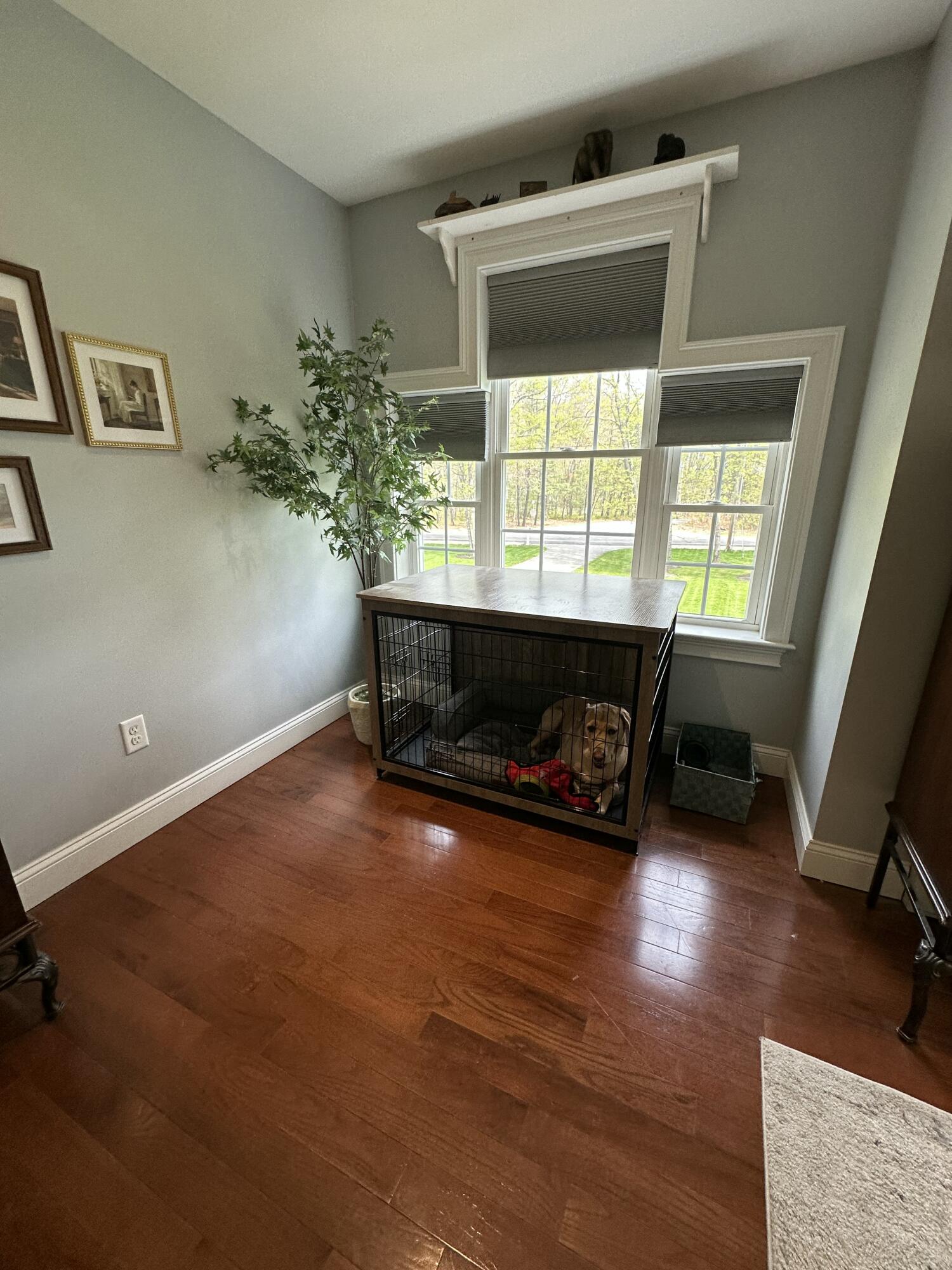 346 Maguire Road Kennebunk, ME 04043 - Photo 55 of 123 IMG_6856