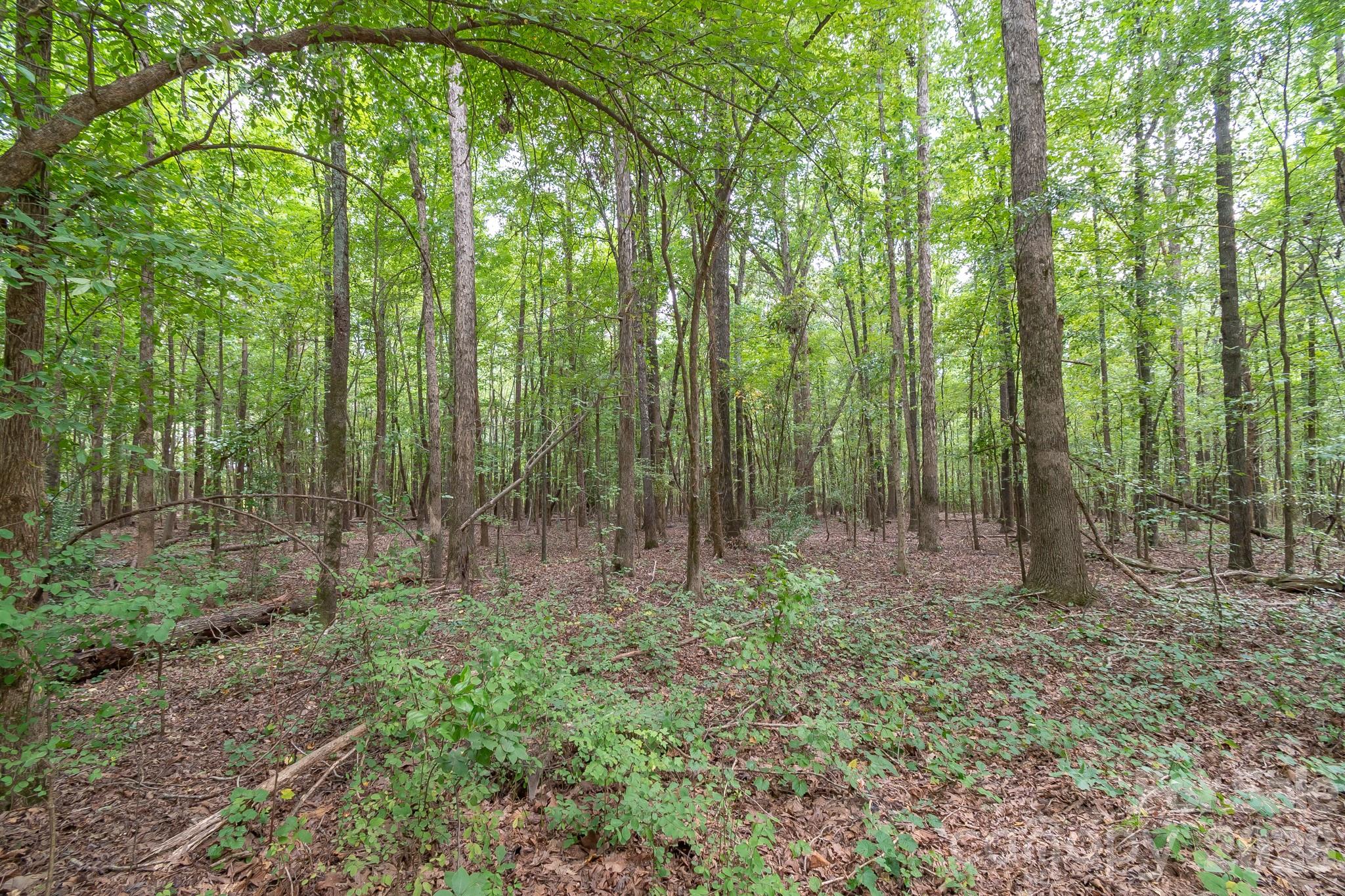 0 Bigham Road Waxhaw, NC 28173 - Photo 18 of 20 Gallery Image 18