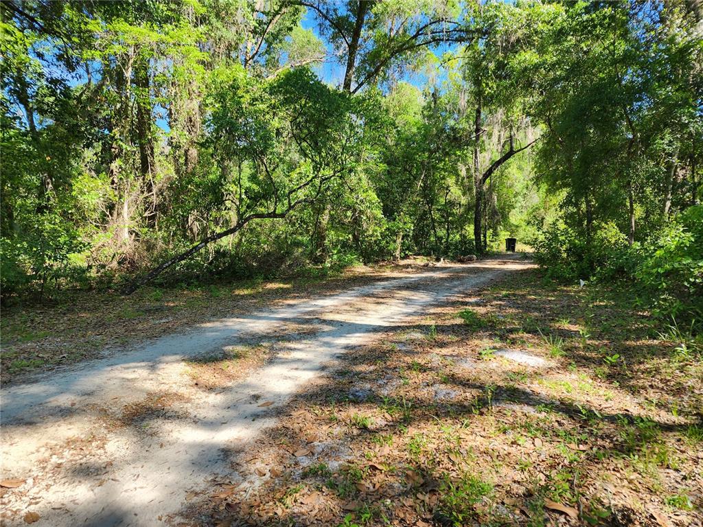 4150 South Spaniel Trail Inverness, FL 34450 - Photo 21 of 25 a view of a yard with a tree