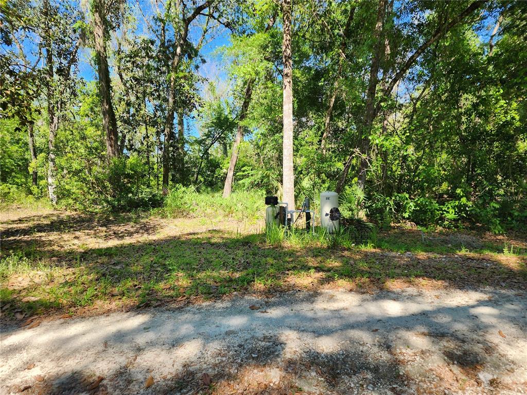4150 South Spaniel Trail Inverness, FL 34450 - Photo 23 of 25 a view of a tree in a yard