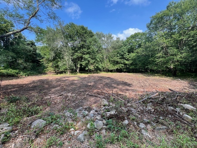 0 Warrenville Road Mansfield Center, CT 06250 - Photo 1 of 1