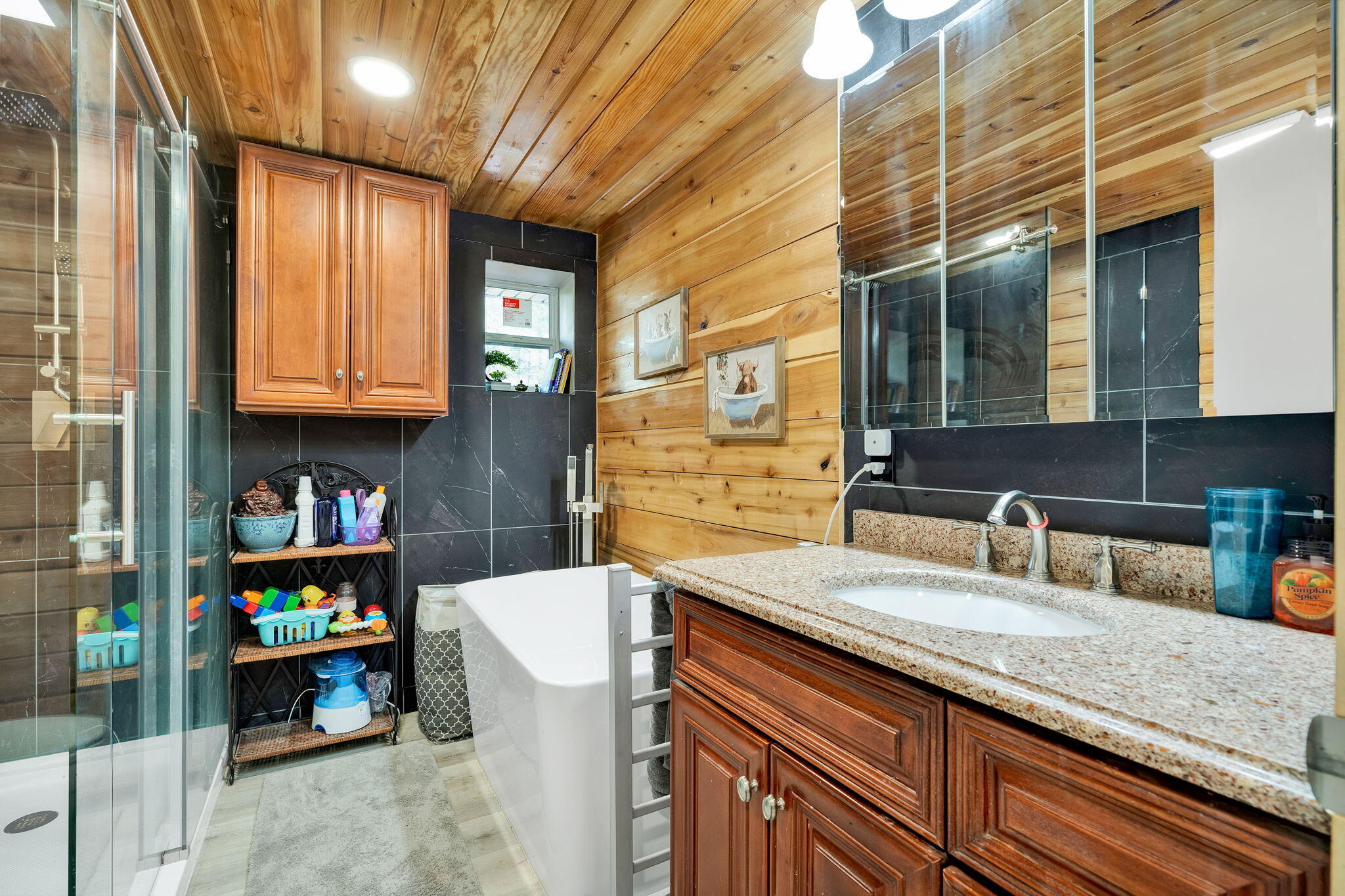 840 Eagle Furnace Road Rockwood, TN 37854 - Photo 18 of 40 25-web-or-mls-DSC06718