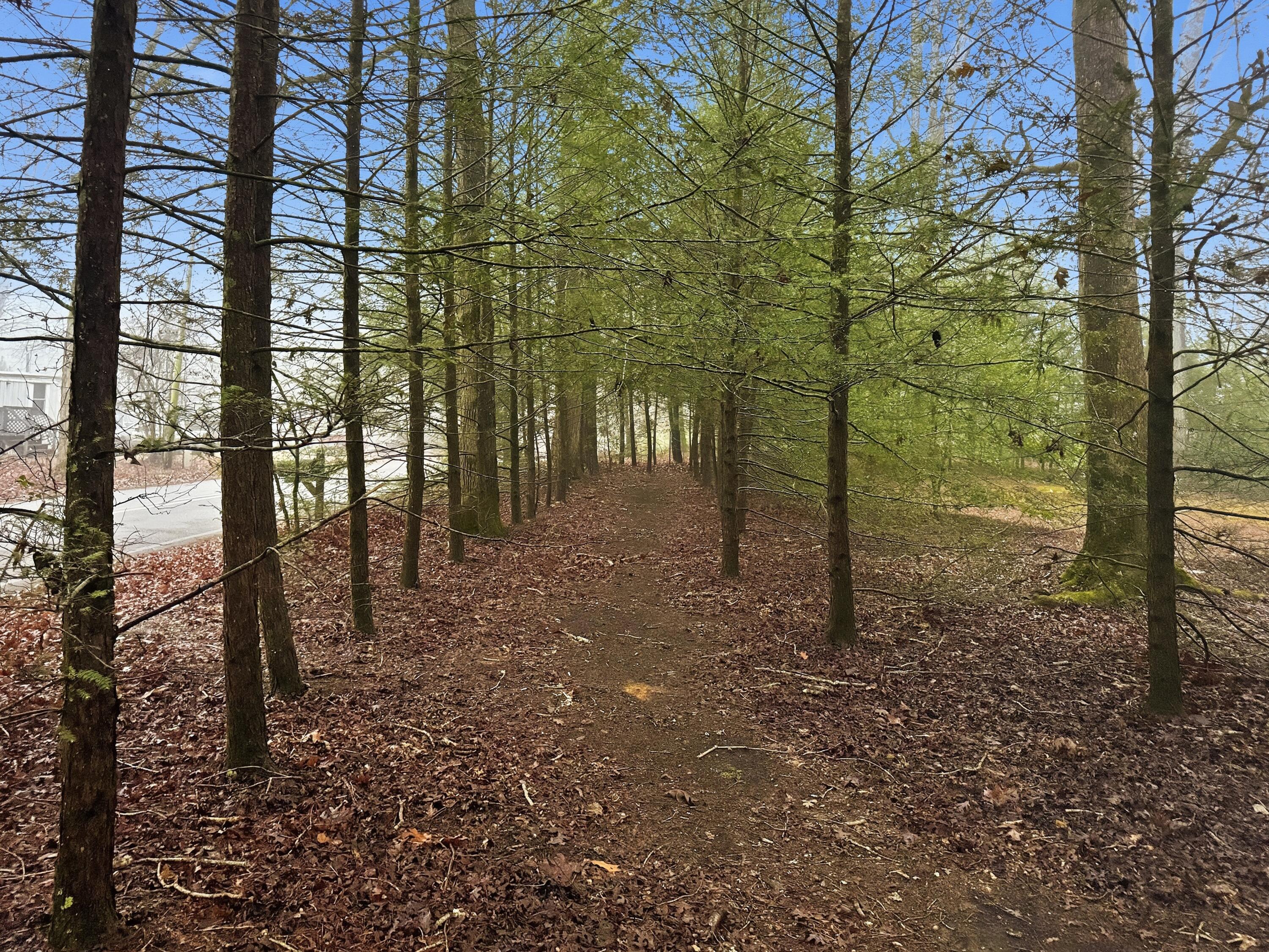 840 Eagle Furnace Road Rockwood, TN 37854 - Photo 29 of 40 IMG_7084