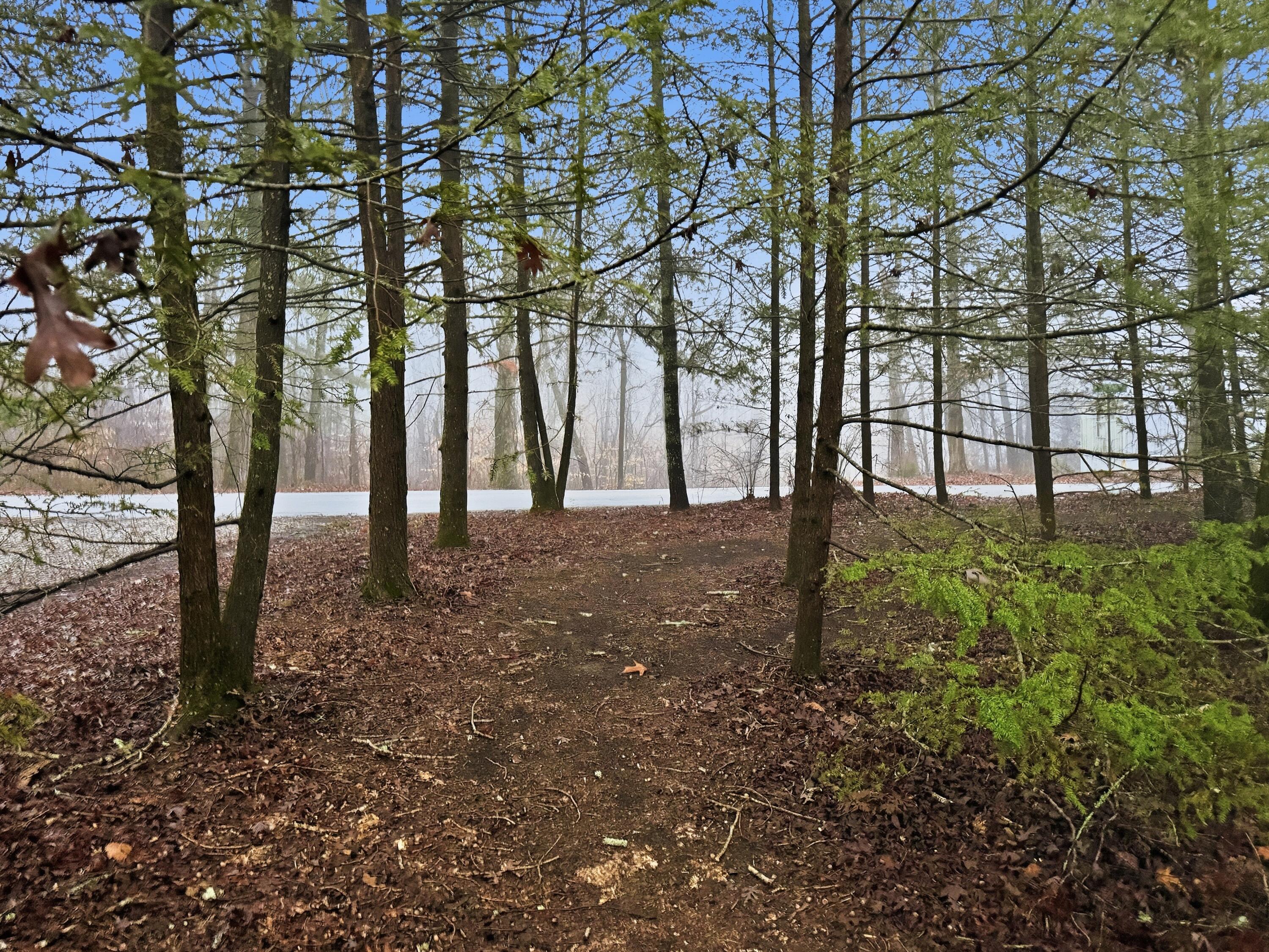 840 Eagle Furnace Road Rockwood, TN 37854 - Photo 30 of 40 IMG_7086